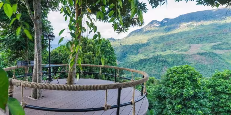 forest bathing in majestic mountains