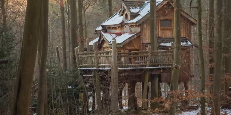 forest retreat with peaceful and soulful marketing themes