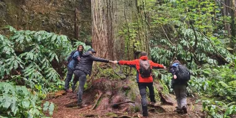 forest therapy guide leading a group in nature