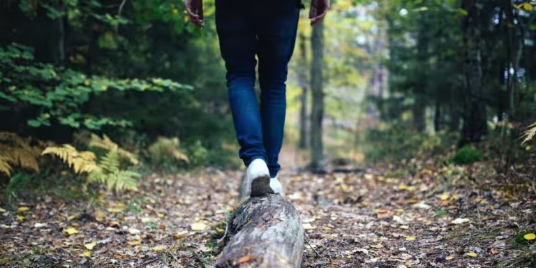 forest therapy session with guide and participants, nature walk, peaceful forest setting, wellness and relaxation