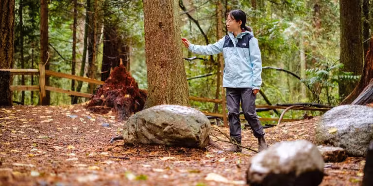 forest therapy session with people practicing mindfulness