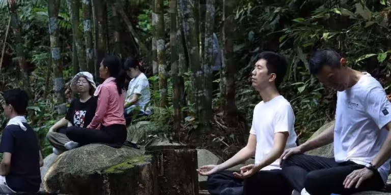 forest therapy session with people walking and meditating in a lush green forest