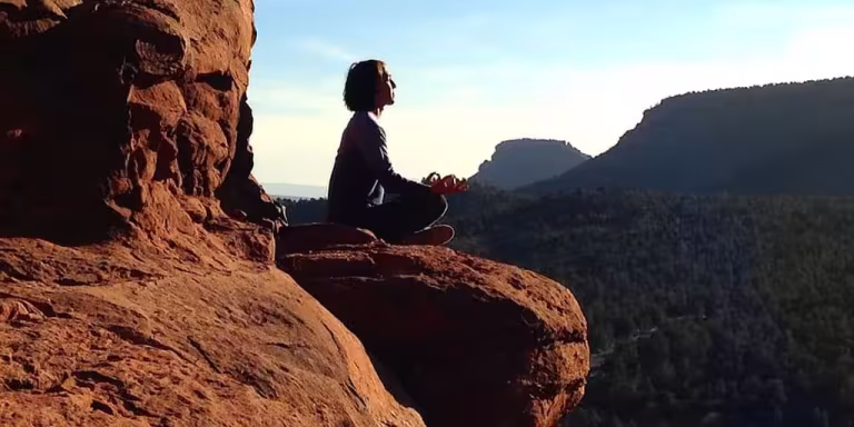 forest wellness retreat peaceful meditation nature