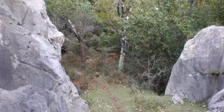 group of diverse people practicing Shinrin-Yoku in a peaceful forest