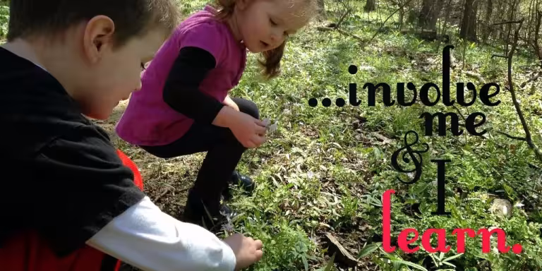 people learning forest therapy in tranquil woods