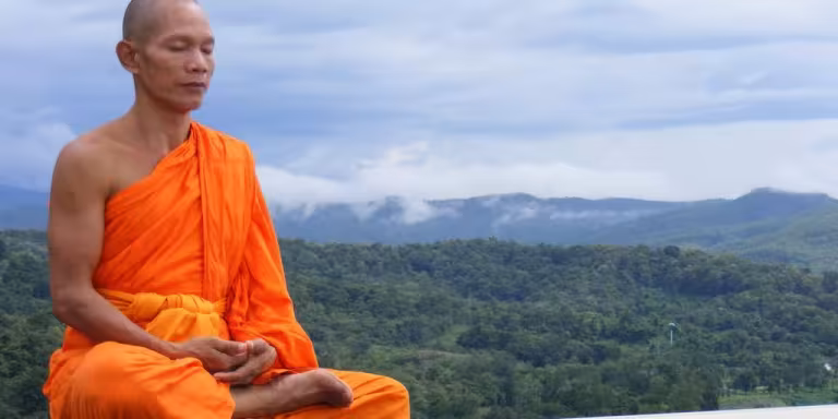 person meditating in a lush forest surrounded by diverse plants and animals