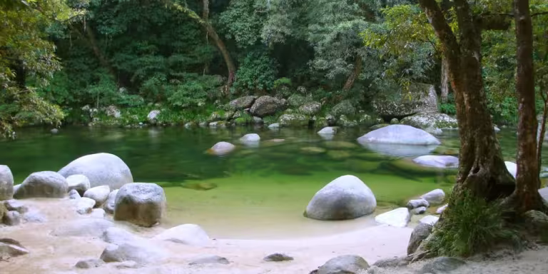 person meditating in a peaceful forest