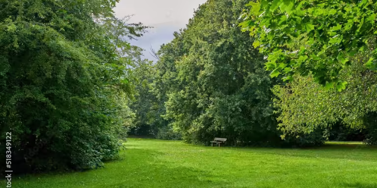 serene forest garden