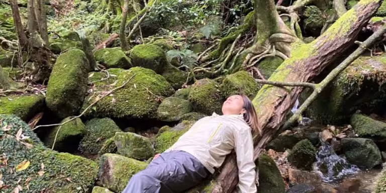 serene forest in Yakushima with a person meditating