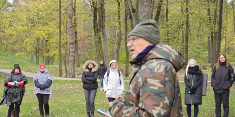 serene forest therapy session