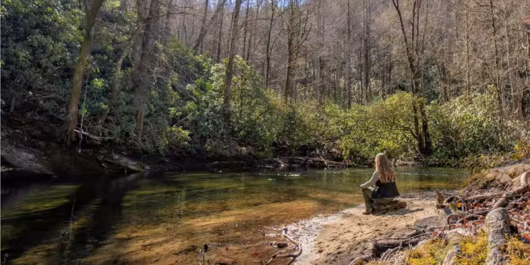 serene forest with a river or lake, people engaging in forest bathing, lush greenery, tranquil water, nature therapy