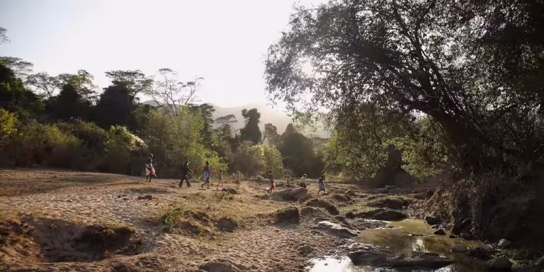 serene forest with a river or lake, people engaging in forest bathing, natural landscape, healing and therapeutic environment