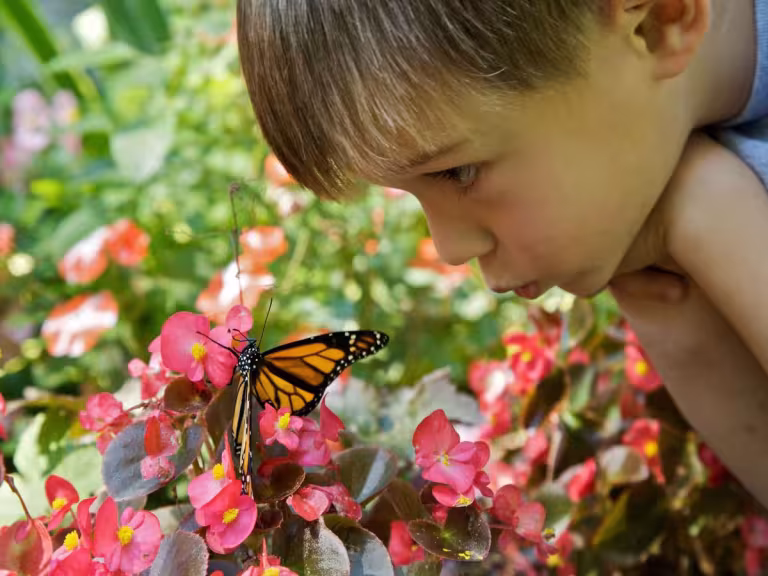 child in nature