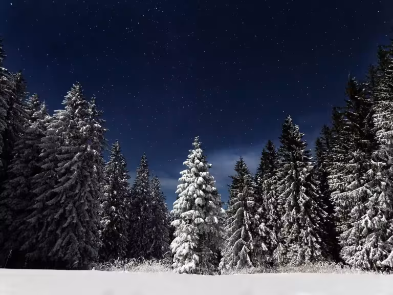 Doerner Fir Oregon