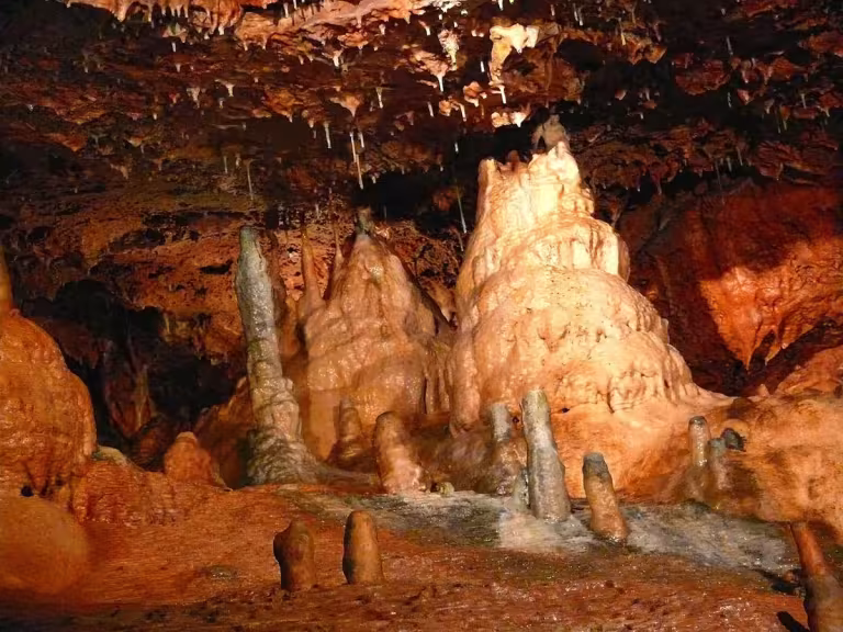 forest cavern with spirits