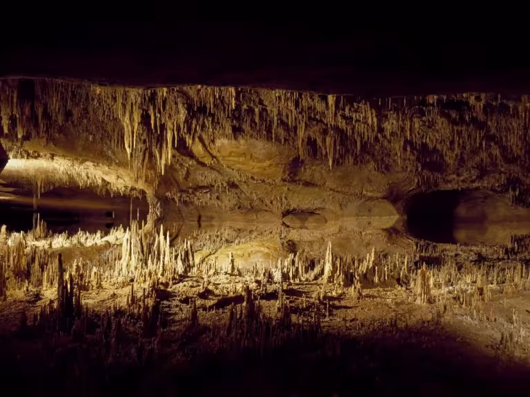 forest cavern with underground river