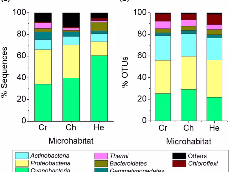 forest microhabitats and atmospheric microhabitats illustration
