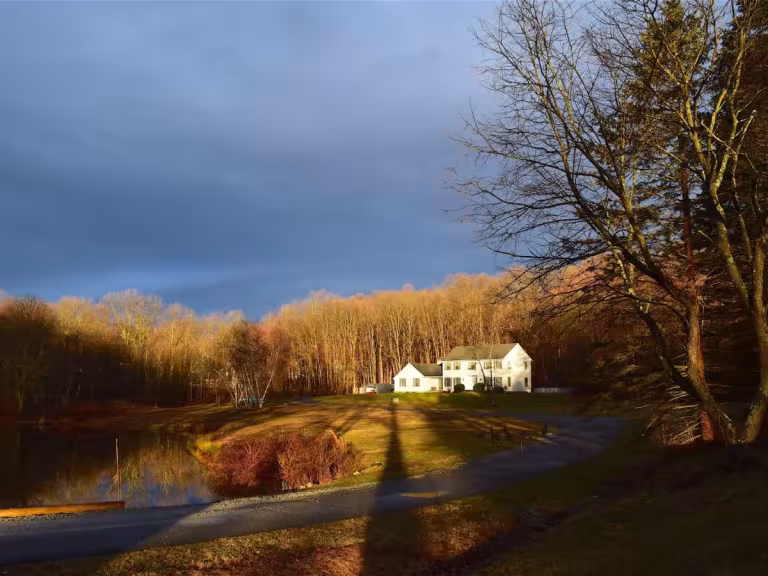 forest sanctuary healing