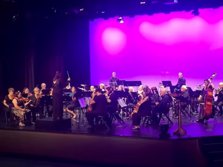 forest symphony with trees and animals
