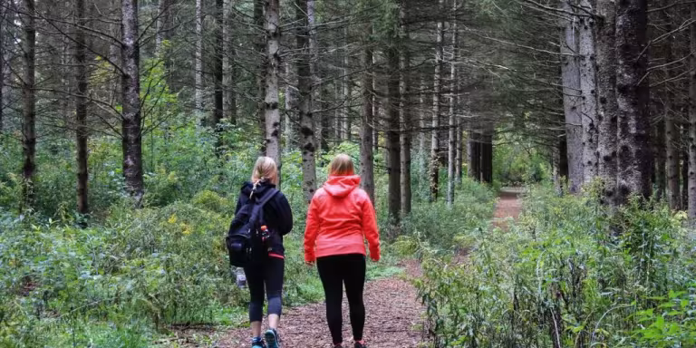 forest therapy guide leading a group, nature healing