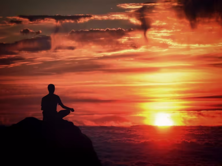meditation in forest