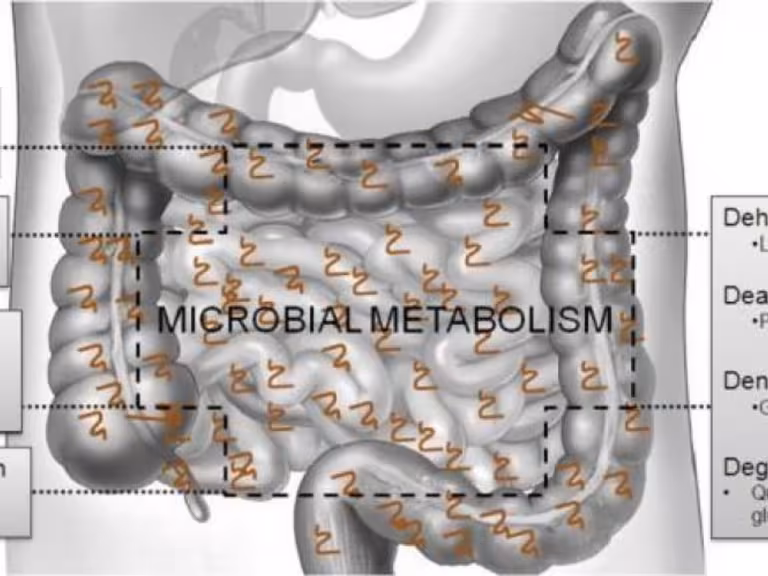 microbial life illustration