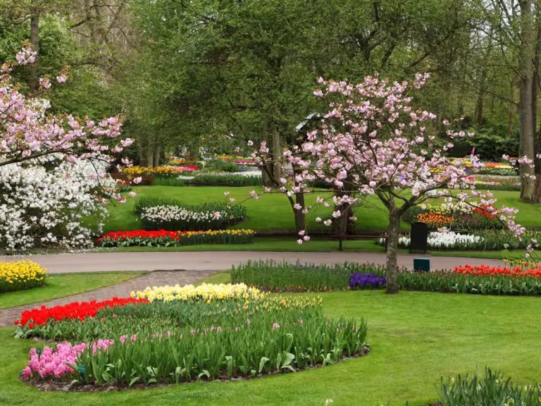 night-blooming garden