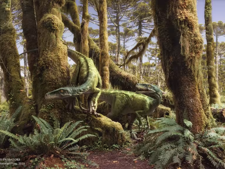 prehistoric forest