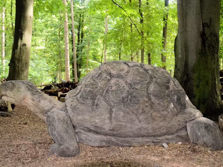prehistoric forest