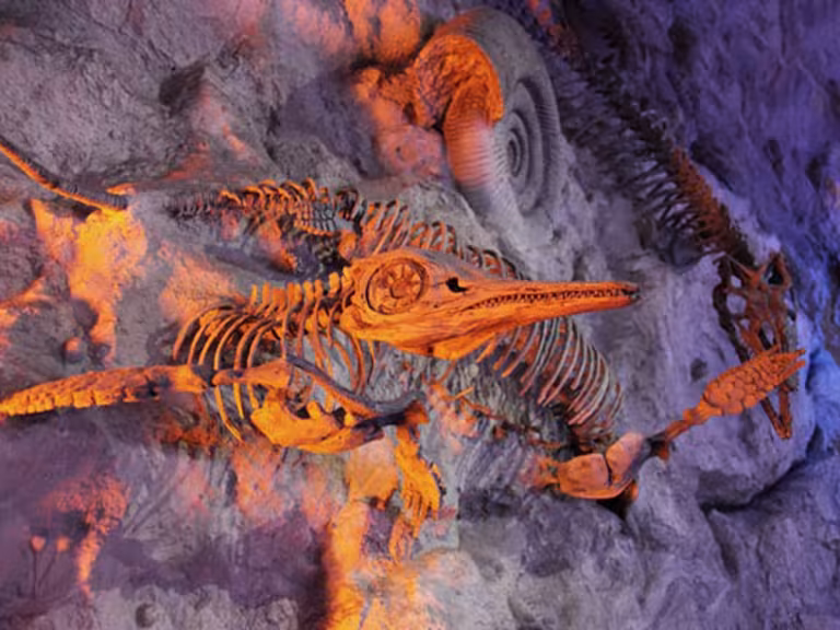 prehistoric forest