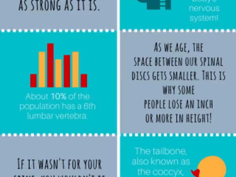 spinal health nutrition