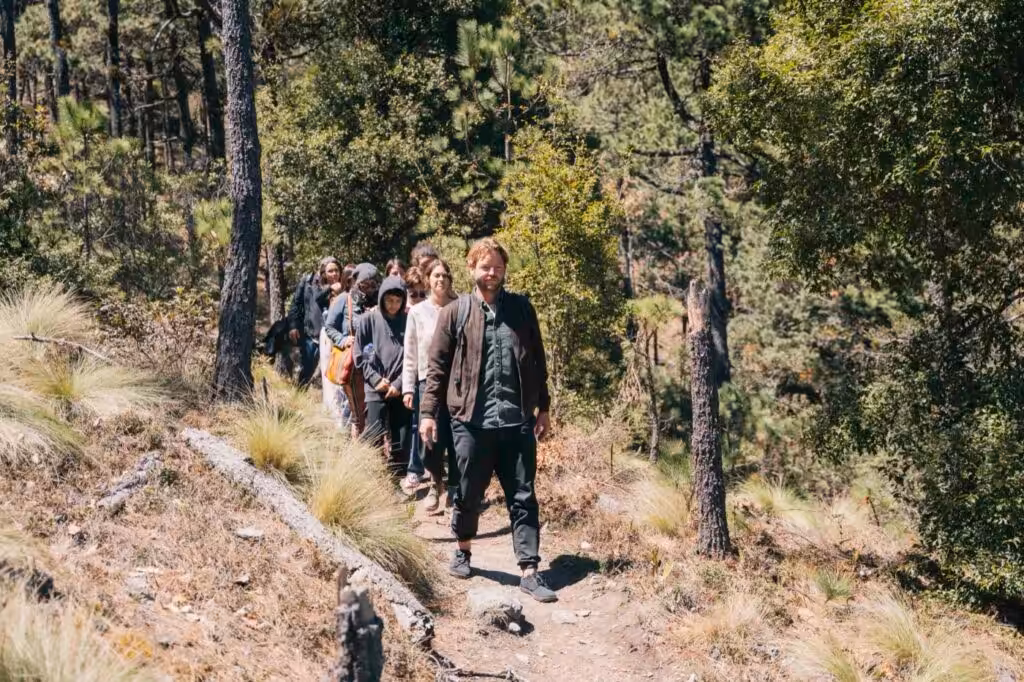 Group on a slow forest walk between tall trunks