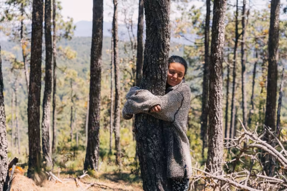 Hand resting on rough tree bark